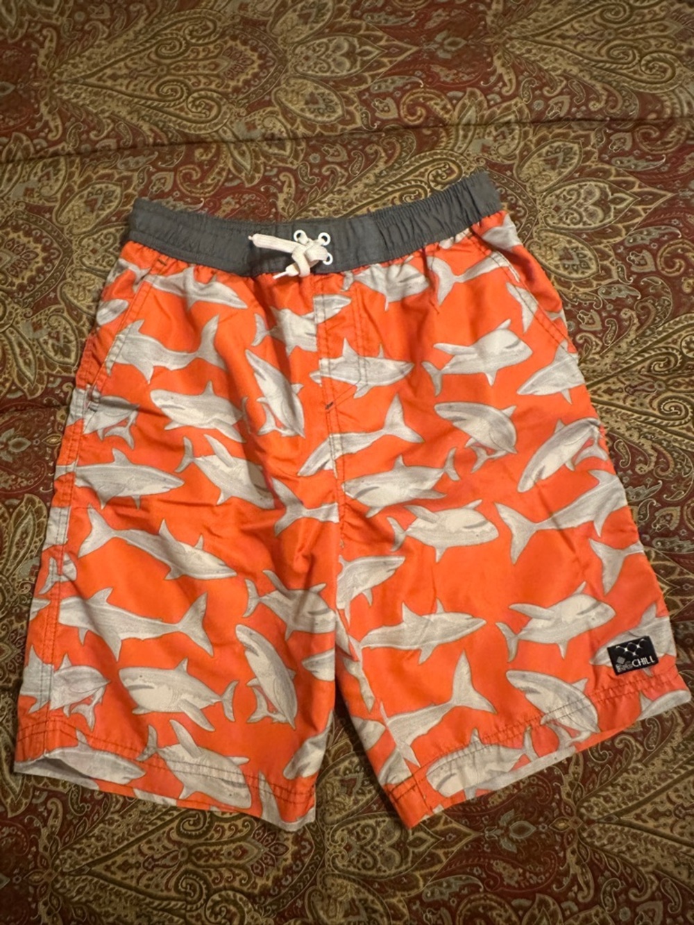 Big Chill Gray and Orange Boys' Swim Shorts